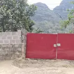 704m2 full đất ở tại thị trấn ba đồi, lạc thủy đường rộng 5m, cách đường hcm chỉ 300m