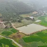 Bán trang trại, khu nghỉ dưỡng tại tu vũ, thanh thủy, phú thọ, 11 tỷ, 10000 m2
