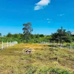 Bán đất hàng hiếm rẻ, đẹp tại quốc lộ 50, 700 triệu, 120m2, pháp lý đầy đủ, có sổ hồng riêng