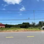 Bán gấp lô đất 1500m2 dầu tiếng bình dương, gần kcn an lập giá 1,1 tỷ