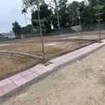 Chủ cắt lỗ vớt cọc nhờ ae kết lối bán lô đất 159m