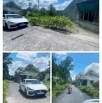 Bán nền thổ cư rạch sung nhơn nghĩa phong điền