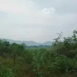 Lô đất khánh thượng,ba vì,hn. view núi non trùng điệp, cánh đồng xanh bát ngát, cách tl414 chỉ 500m