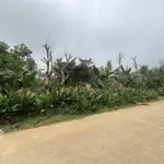 Chính chủ cần bán lô đất mặt tiền 30m diện tích:661m thổ cư 100m tại vân hòa ba vì hà nội