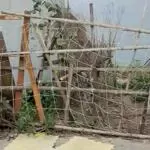 Bán đất đằng hải hải an hải phòng, ngay sau nhà mặt ngõ oto đỗ cách 15m, giá 35.5 triệu m.