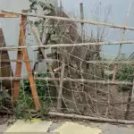 Bán đất đằng hải hải an hải phòng, ngay sau nhà mặt ngõ oto đỗ cách 15m, giá 35.5 triệu m.