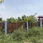 Cần bán đất trồng cây lâu năm tại xã long thới, nhà bè, dt 1.004m2 giá 7,5 tỷ. lh 0902.714.318