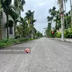 Mặt đường nhựa tại hợp đức, đồ sơn
