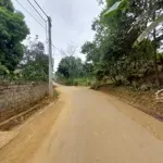 Bán gấp giá rẻ 1125m gần hồ lớn, khu k9 minh quang, ba vì hn, loanh quanh 2tỷ. lh 0987458984