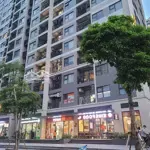 Shop chân đế chung cư 59m2 giá bán 6,9 tỷ đang cho thuê 31 triệu tại vinhomes ocean park 1