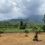Chuyển nhượng 1.534 m2 đất nghỉ dưỡng tại vân hoà - ba vì