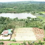 Hàng hiếm tại cư bao, buôn hồ, đắk lắk, 299 triệu, 230 m2