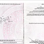 Cần bán căn nhà tại gần ủy ban p hòa phú và chợ hòa lợi. giá 2,3 tỷ. hỗ trợ vay