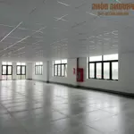 Cho thuê văn phòng đường 72m, đại lộ vinh - cửa lò, tp vinh, nghệ an