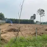 Cho Thuê 8000 Đât Trống Và Nhà Xã Tam Phước Bien Hòa Đồng Nai