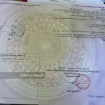Bán đất dịch vụ phúc tiến biên giang hà đông