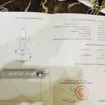 B.án lô đất đẹp tại tđc thiên đường hải an 81m2 ngang 4,5m giá chỉ 53,5 triệu/m2