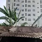 Bán Đất Ngay Sau Anh Tuấn Apartment, 42,5 Triệu/M2, 72 M2, Phú Xuân, Nhà Bè, Hcm