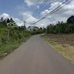 Bán 1 sào phủ hồng mt nhựa tại đồi rìu long khánh đồng nai, giá hời