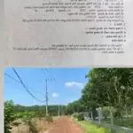 Cần bán mảnh thổ vườn 2230m2 chiều ngang 90m gần đường dh507 phú giáo- bình dương giá siêu rẻ chỉ 850 triệu.