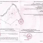 Bán đất tại an thái, phú giáo, bình dương, 175 tỷ, 39558 m2, uy tín