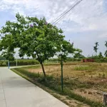 Bán đất khu đô thị điện thắng nam - 113m2 - gần trạm thu phí điện bàn - sẵn sổ đỏ giá chỉ 690 triệu
