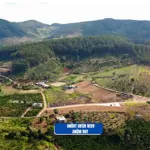 đầu tư đất nghỉ dưỡng gần đà lạt, view rừng thông, sổ riêng, chỉ từ 520 triệu