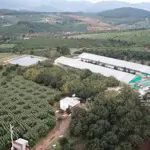 Bán gấp 2 lô đất mê linh, lâm hà, lâm đồng - 1 lô 17ha, 1 lô 20ha. giá bán 8 tỷ/ha