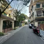 Bán nhà phố vip hào nam - đống đa