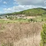 đất nghỉ dưỡng đà lạt view đồi thông giá ngộp