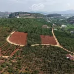 Cần bán 250m2 sẵn 80m đất thổ cư giá bán 700 triệu thương lượng chủ