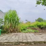 Bà chị gửi bán lô đất giá hời chỉ 590tr , ngay thị trấn chợ gạo , tiền giang. diện tích đất 150m2.