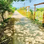 Bán đất chính chủ tại dateh lâm đồng
