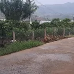 Nhà vườn 3200m² 400m2 thổ cư tại đông thanh, lâm hà, lâm đồng 4 tỷ 800