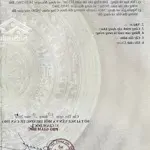 Bán vườn sầu riêng 7187m2 đt 926 - ấp trường thọ - trường long - h, phong điền(cách cầu kh9 2,5km)