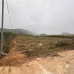 Siêu Hiếm Lô Đất 3180M2 Full Đất Ở, Oto Tránh, Ngay Khu Trung Tâm Xã Và Du Lịch, Bằng - Vuông Vắn