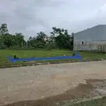 Kqh thanh lam, thủy phương, hương thủy.