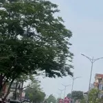 Bán gấp đất nền 99m2, 2,25 tỷ ở quốc lộ 2b, kim long, tam dương, vĩnh phúc