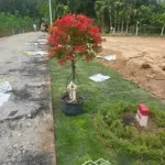 Bán đất tại xã long tân, 690 triệu, 220 m2 hàng hot bao đẹp