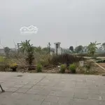 Bán 80m2 đất thái bình, mai lâm, đông anh, đường 8m view đẹp, cách cầu đông trù 600m