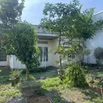 Nhà vườn mặt tiền hẻm lữ gia nguồn ngộp - lộc châu - tp. bảo lộc thích hợp cho thuê hoặc đầu tư