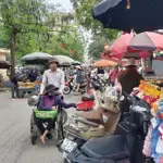 Bán đất trục chính kinh doanh vin bắc hồng, đông anh, hà nội 100m2 - hàng hiếm!