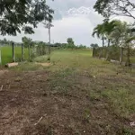 đất xây kho xưởng 3200m2 đất skc mặt tiền đường long hòa phước vân, cần đước long an