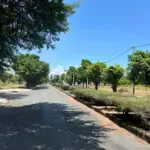 đất bán kdc phước lộc huyện cần giờ ngay lương văn nho gần sát dự án vinhomes. 7,5x17m. giá: 6 tỷ.