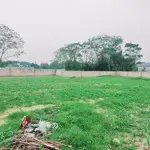 Bán đất tại xã nam phương tiến, chương mỹ, hà nội, 3,5 triệu / m2, 1900 m2 chính chủ