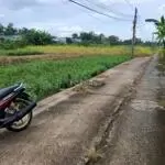 Chính chủ bán lô đất đẹp tại xã Phước Hậu, huyện Cần Giuộc.