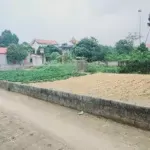 Hàng phân lô nhanh tay thì còn 726m2 300 thổ cư tại hồ văn sơn nam phương tiến