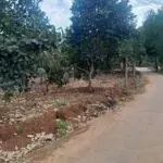 Cần bán lô đất 2 mặt tiền tại bàu chinh – 2 tỷ 3, 70m mặt tiền, vườn mít sẵn, pháp lý rõ ràng