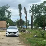 Bán gấp nhà vườn 800m2 view sông hương - huế, giá tốt 9,9 tỷ - 0927464999