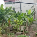 Bán nhanh đất liên mạc 43m2- giá 3,95 tỷ- ô tô vào- sổ vuông đẹp- pháp lý chuẩn